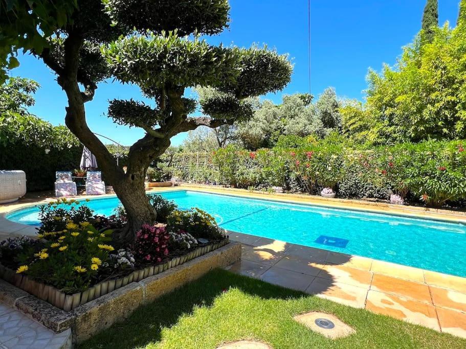 Le Jardin De Mae Leilighet Bouc-Bel-Air Eksteriør bilde